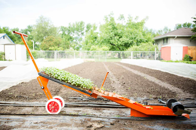 HP-16 Nitten Pullcat transplanter