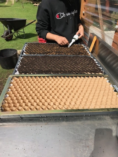 Paperpot with spreader frame working