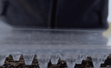 Dibble Board | Paperpot
