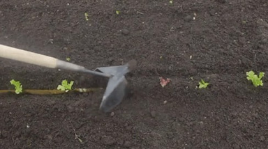 Paperpot Transplanter | Start-up Package