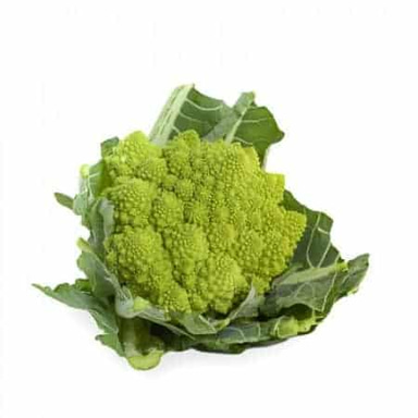 puntoverde-rz-f1-romanesco-cauliflower-seed