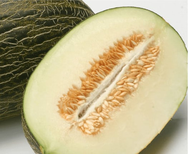 ricura-rz-f1-piel-de-sapo-melon-seed