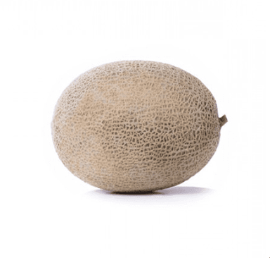 caribbean-king-rz-f1-rockmelon-seed