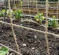 Jute Trellis | 1.8m x 100m