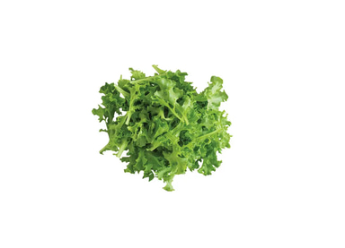 tango-oakleaf-lettuce-seed