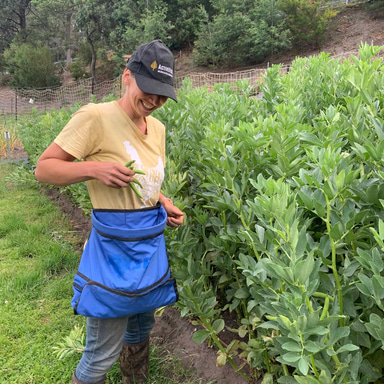 Pickers Canvas Waist Bag | 0.3 Bushell