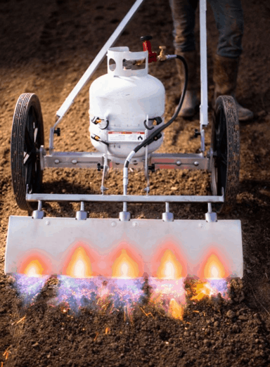 5 Burner Pyroweeder with Blade