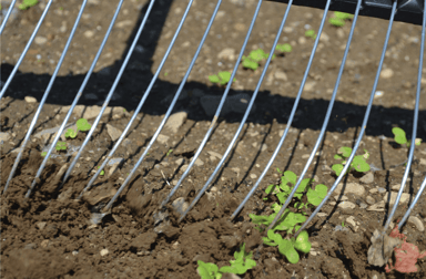 Tine Weeding Rake