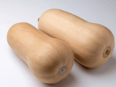 havana-f1-butternut-pumpkin-seed