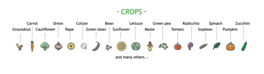 WZ-Seed Crops
