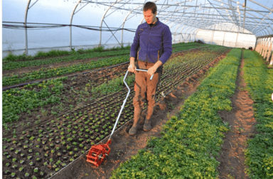 Wheel Weeder | Single