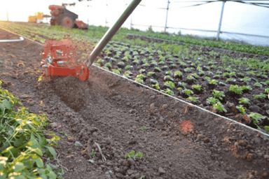 Wheel Weeder | Single