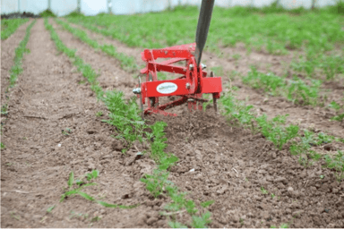 Wheel Weeder | Single