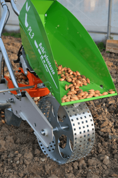 Terrateck Garlic Bulb Planter