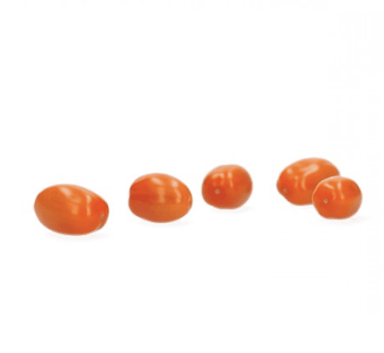 cypry-rz-f1-orange-snack-tomato-seed