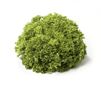 vindicate-rz-primed-green-coral-seed