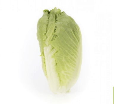 coronita-rz-crispy-cos-lettuce-seed