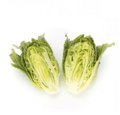 coronita-rz-crispy-cos-lettuce-seed