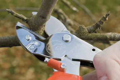 Lowe #1.104 H.D. Anvil Pruners