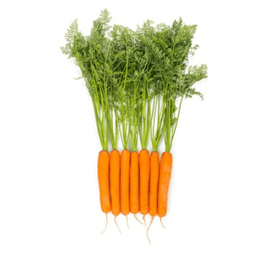 ymer-rz-f1-table-carrot-seed
