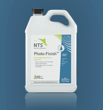 NTS Photo-Finish