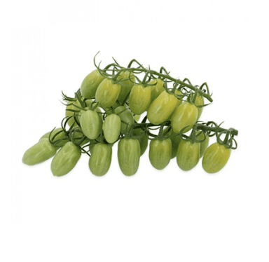gourami-rz-f1-green-snack-tomato-seed
