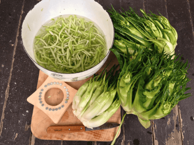 Puntarelle SB | Pelleted Organic Chicory Seed