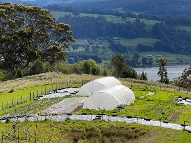 Classic15 | 15m Standard Cocoon Tunnel