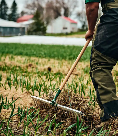 Growers & Co. Bed Preparation Rake