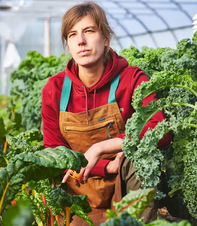Growers & Co. Market Apron