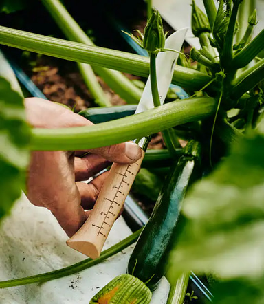Opinel x Growers & Co. No.10 Harvest Kinfe