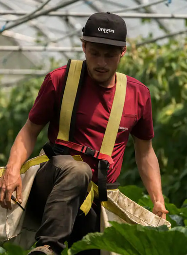Growers & Co. Baseball Cap Black