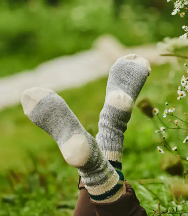 Growers & Co. Cotton Field Socks