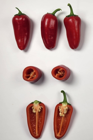 Little Red Sweet Snacking Pepper