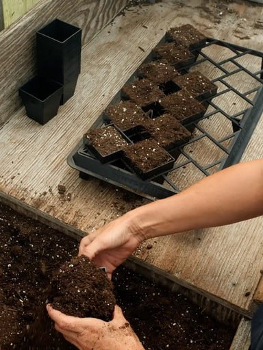 Winstrip®-XL-Pots-with-Carry-Insert