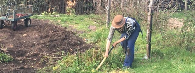 Soil Health
