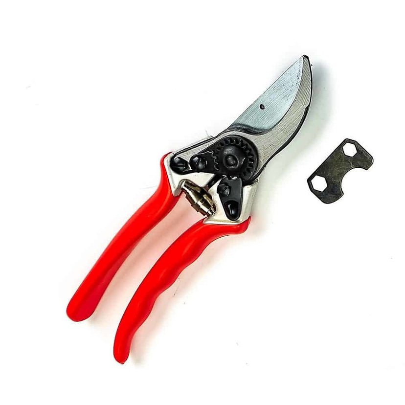 Ryset Bypass Pruner