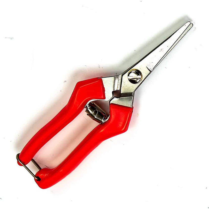 Long Tomato Snips