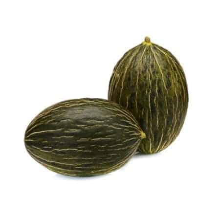 ricura-rz-f1-piel-de-sapo-melon-seed