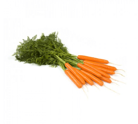 jerada-early-rz-f1-pelleted-carrot-seed