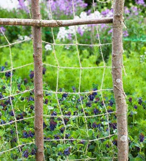 Jute Trellis