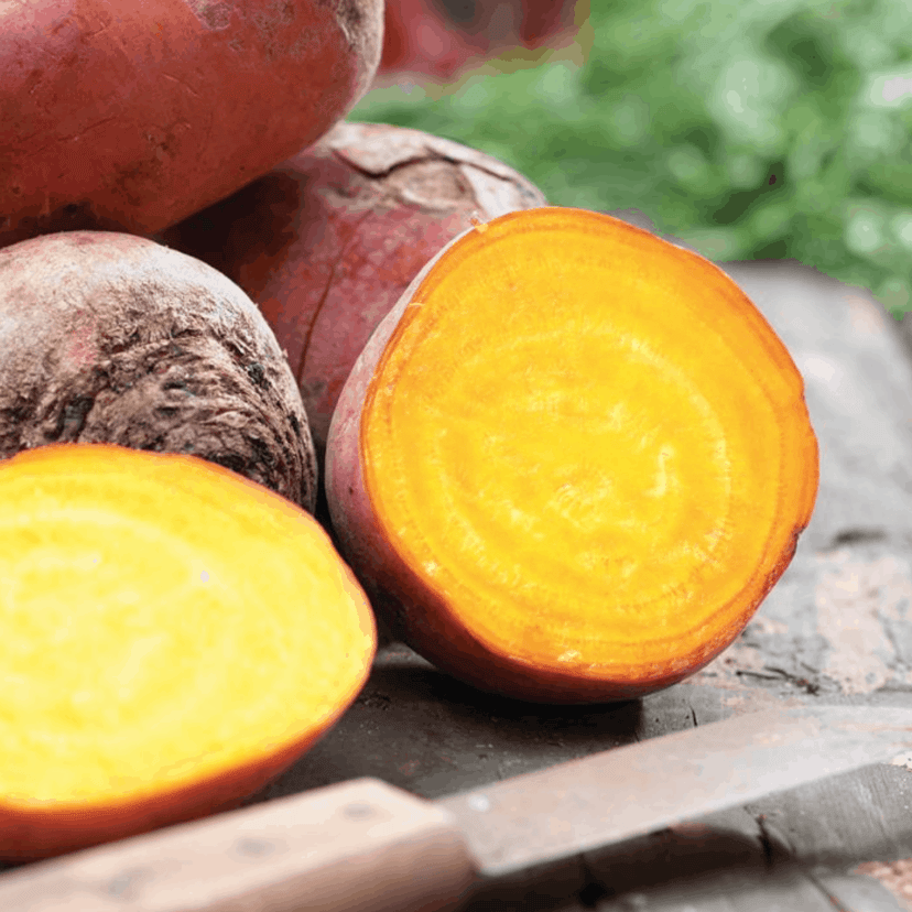 Boldor | Beet Seed