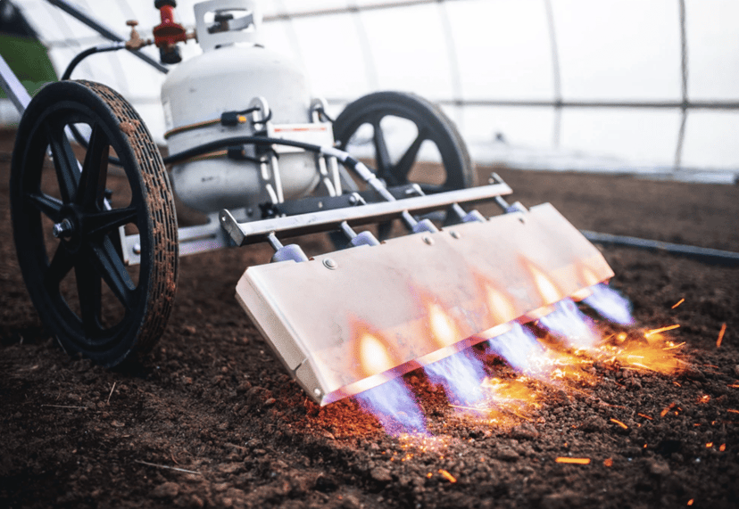 Pyroweeder 5 burner