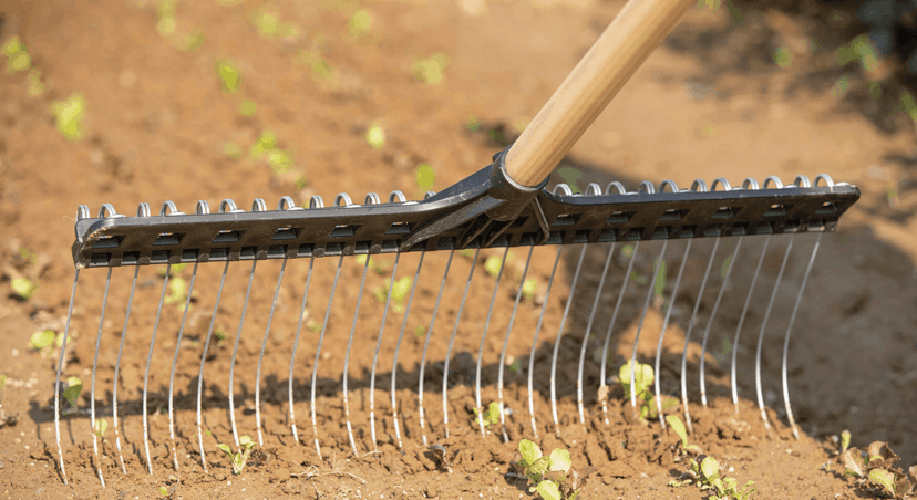 Tine Weeding Rake