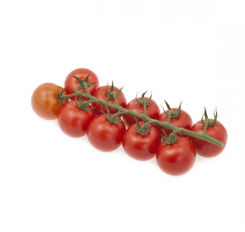 brioso-rz-f1-cocktail-truss-tomato-seed