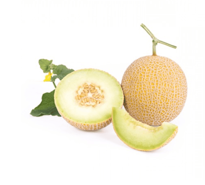 inthanon-rz-f1-gladial-honeydew-melon-seed