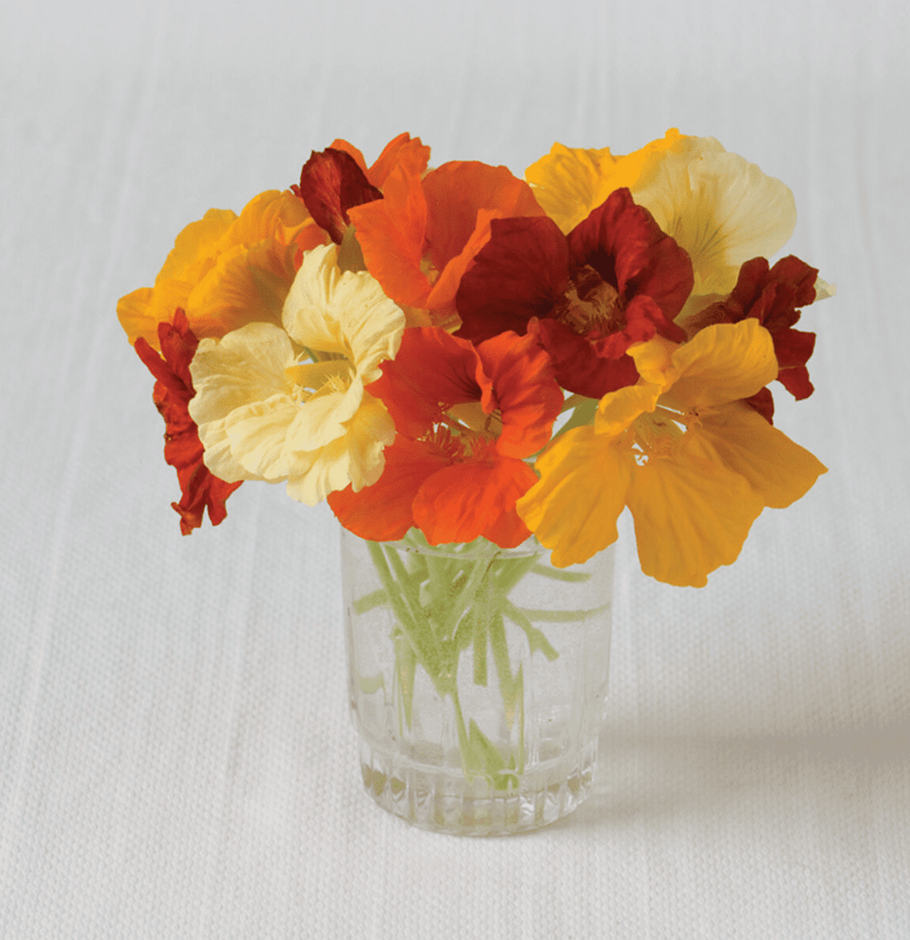 jewel-mix-nasturtium-seed