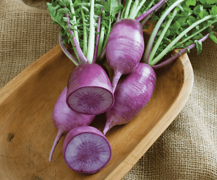 kn-bravo-f1-radish-seed