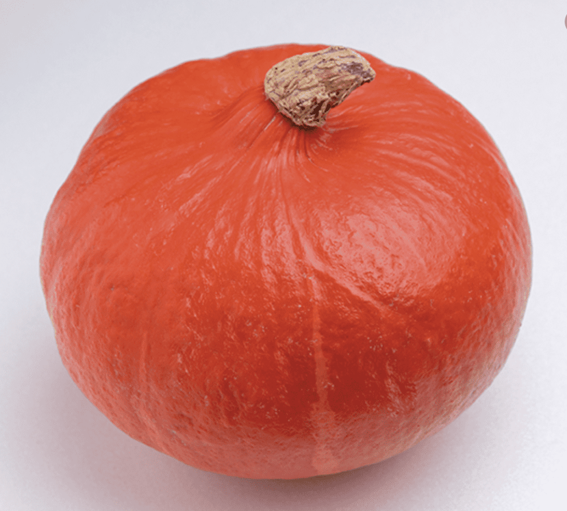 orange-summer-f1-kuri-pumpkin-seed