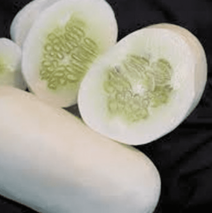 crystal-salad-cucumber-seed